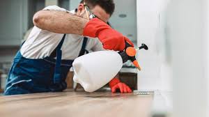 Real Estate Pest Inspections in Richlands, NC